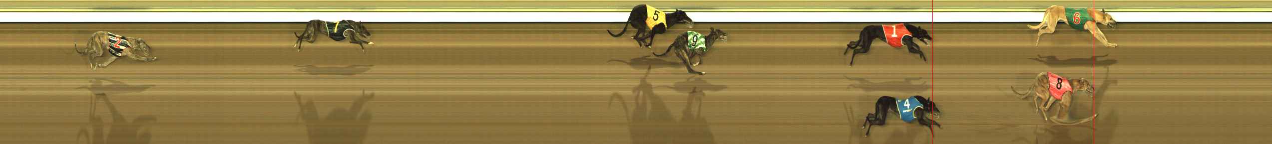 Race result finish photo
